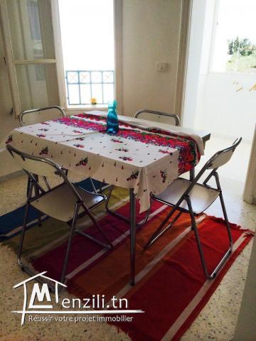 Appartement S+1 lumineux, agréable et meublé.