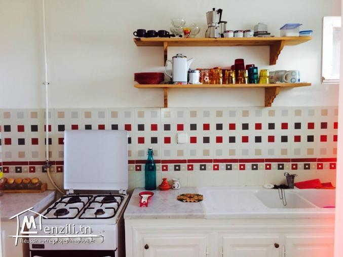 Appartement S+1 lumineux, agréable et meublé.