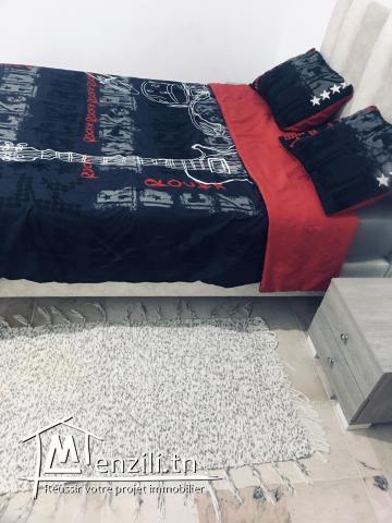 Appartement richement meublé