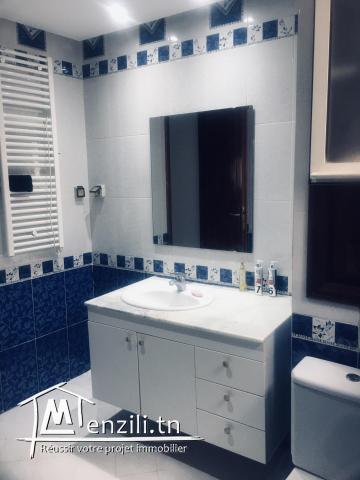 Appartement richement meublé