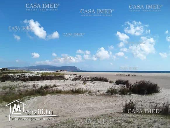 Terrain de 180m²  à dar alouche kelibia