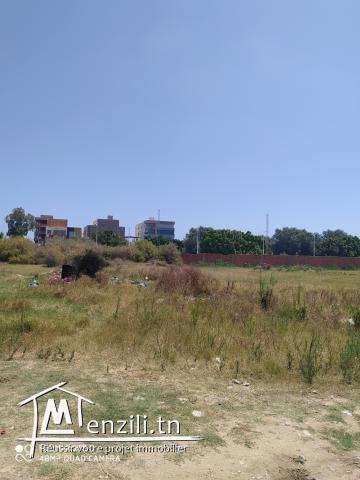 Un grand terrain divisible côté soukra valley