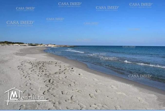 terrain loin de 800 m de la mer situe chatte erramla kirkwene (Kélibia)