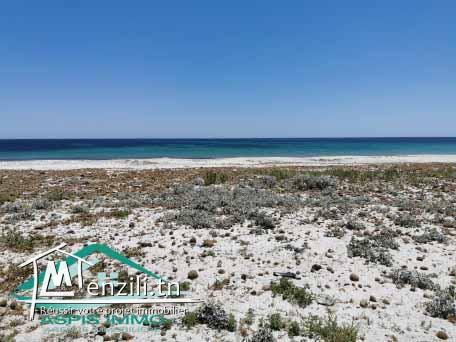 VT475:Terrain d'habitation 1 017 m² à Ain Grinz Kelibia