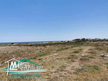 VT475:Terrain d'habitation 1 017 m² à Ain Grinz Kelibia