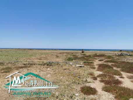 VT475:Terrain d'habitation 1 017 m² à Ain Grinz Kelibia