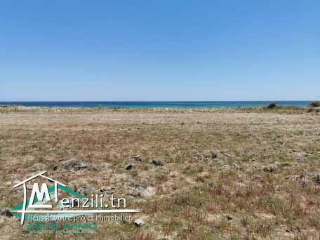 VT475:Terrain d'habitation 1 017 m² à Ain Grinz Kelibia