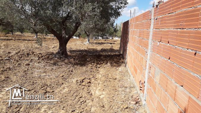 Terrain constructible de 1000m2