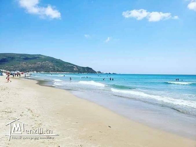 Terrain de 300  à Haouaria plage