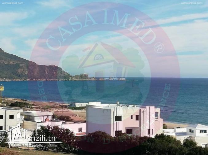 Terrain de 300  à Haouaria plage