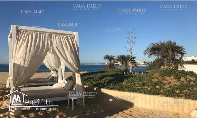 Terrain à Hammamet ☎29232582