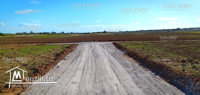 Terrain à Hammamet ☎29232582