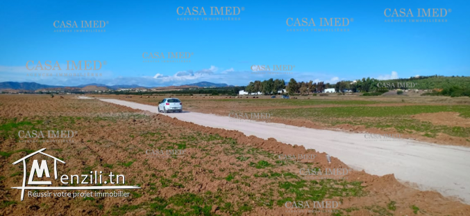 Terrain à Hammamet ☎29232582