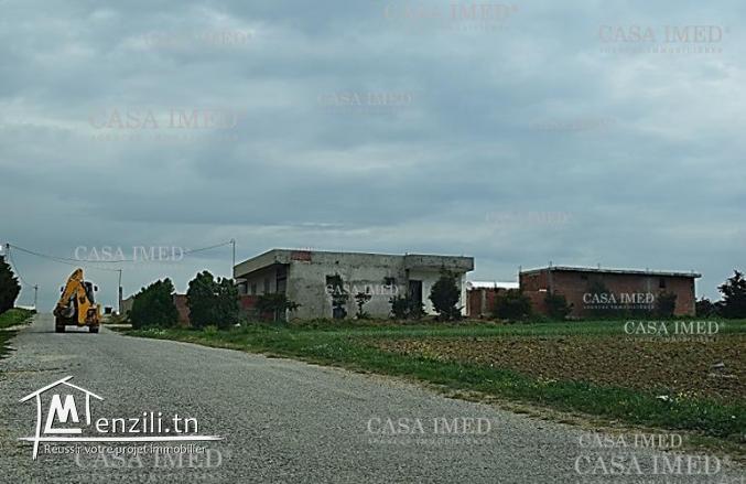 Terrain 250 m² à Manzel Ibrahim ( Kélibia)☎29232582