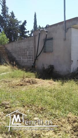 Ferme à vendre 3,55 hectares prix négociable