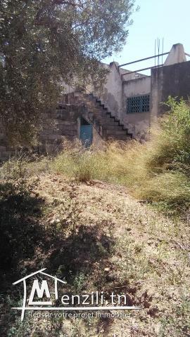 Ferme à vendre 3,55 hectares prix négociable