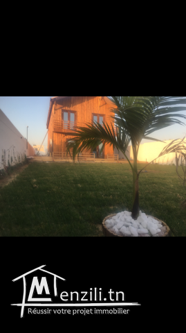 Chalet en bois avec piscine