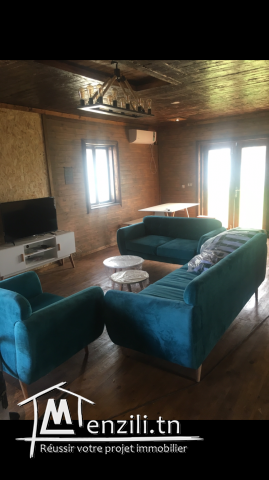 Chalet en bois avec piscine