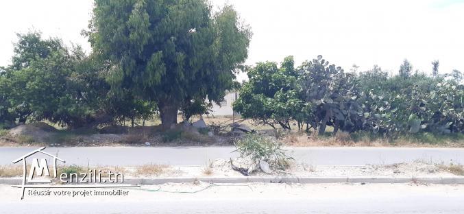Terrain de 160m2 a Hammamet