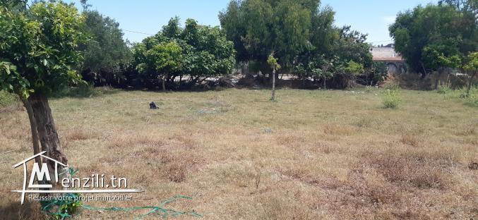 Terrain de 160m2 a Hammamet