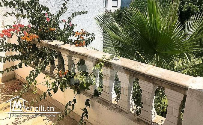 Location d'un duplex à la Marsa Tunisie