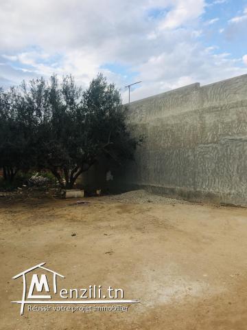 Terrain a vendre « Mnihla,Ariena »