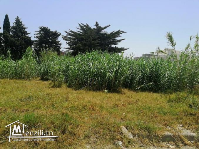 A vendre un magnifique terrain