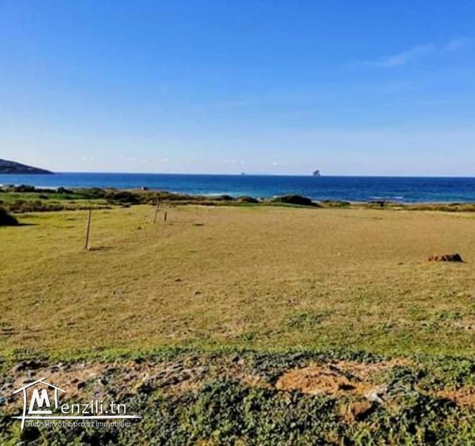 a vendre un terrain de 2500 m2