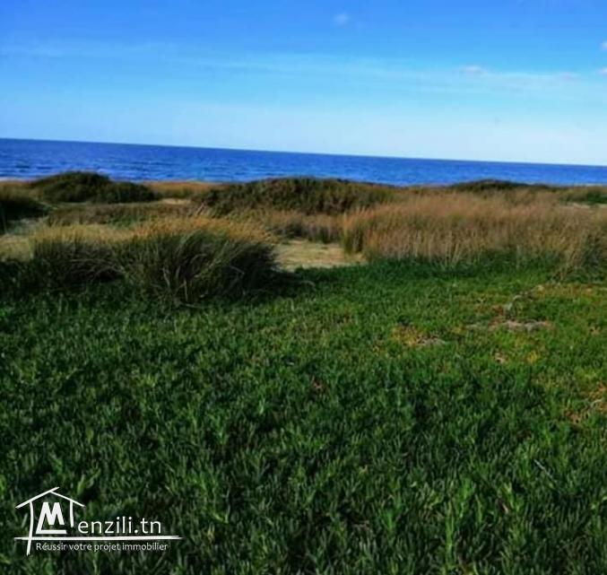 a vendre un terrain de 2500 m2