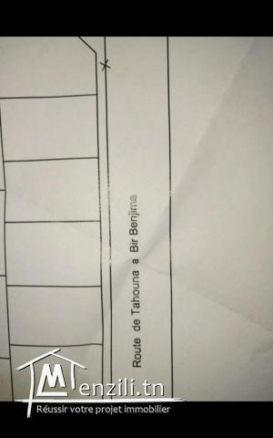Route de tahouna à bir benjmia