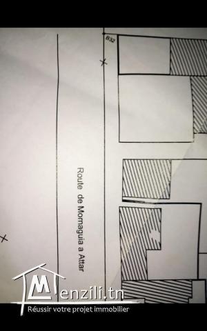 Route de tahouna à bir benjmia