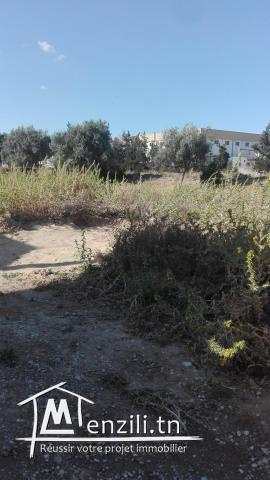 terrain pret centr morneguia