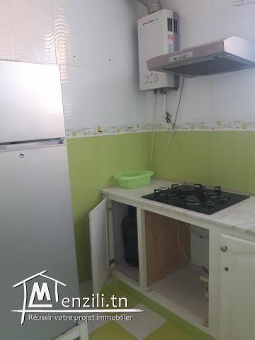 A louer pour les vacances un appartement richement meublé