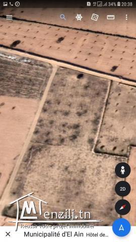 Terrain à vendre,  Route El Ain km 15 , Sfax