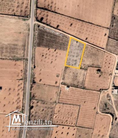 Terrain à vendre,  Route El Ain km 15 , Sfax