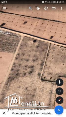 Terrain à vendre,  Route El Ain km 15 , Sfax