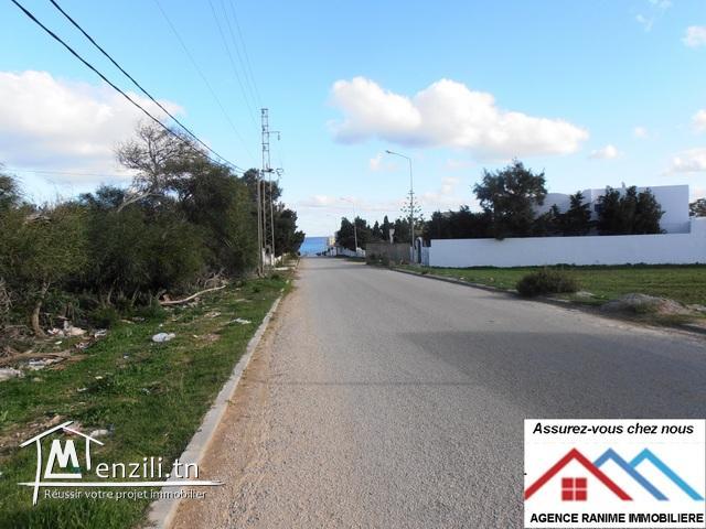 Terrain de 500m² a la plage d’el haouaria