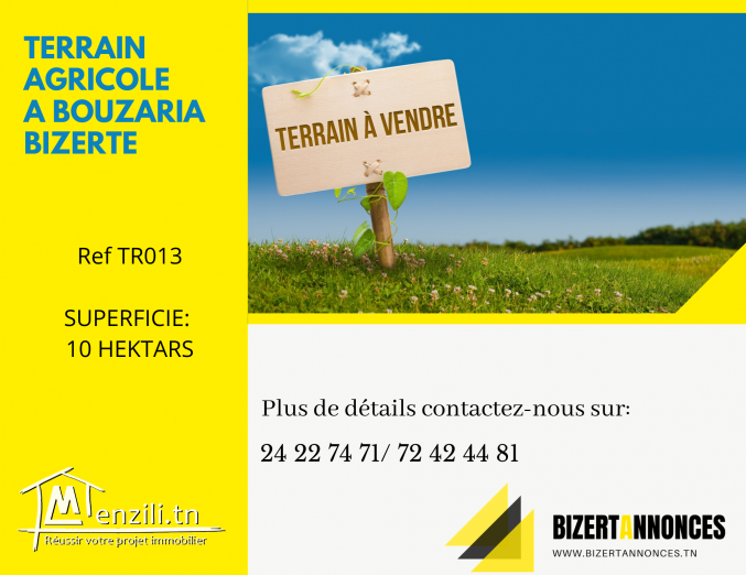 Des terrains à VENDRE