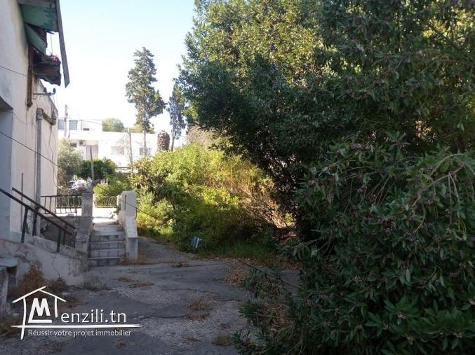 agréable terrain à megrine