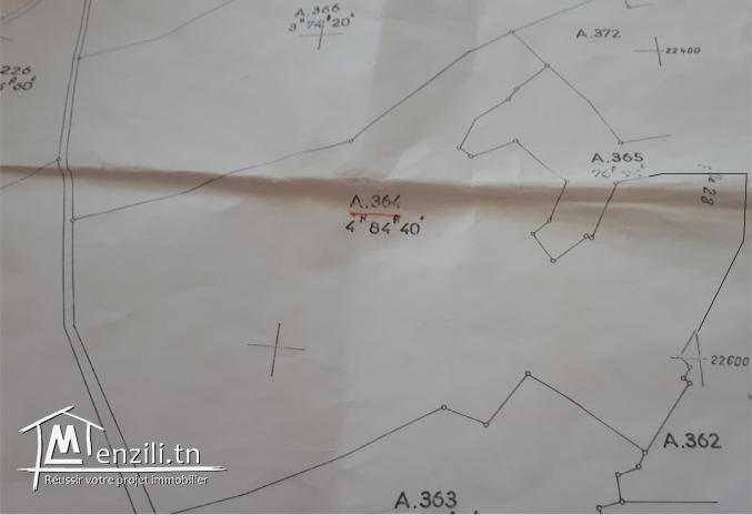 Vente Terrain agricole - Kalâa sghira, sousse