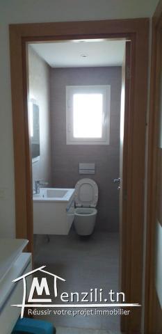 appartements  à vendre s+3,  s+5 et s+6 des  triplex