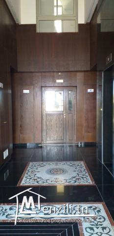 s+3  et des triplex à vendre   a jardin de Carthage