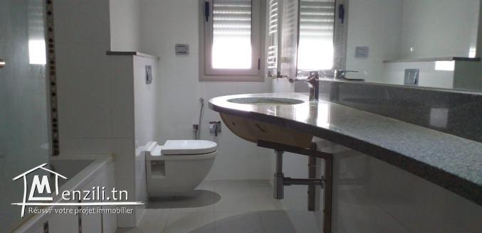 s+3  et des triplex à vendre   a jardin de Carthage