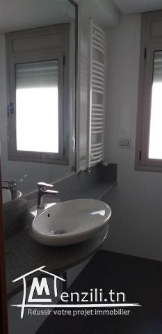 s+3  et des triplex à vendre   a jardin de Carthage