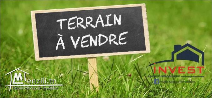 Terrain à vendre à Gammarth