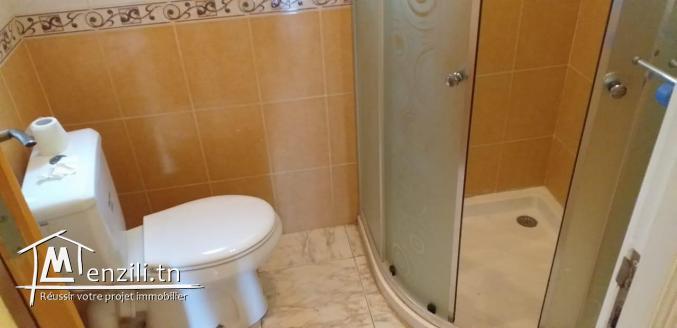 10 appartement   s+2 et une villa  et 9 locaux commerciaux à vendre