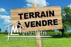 a vendre a sidi hammed un lot de 3250  m²