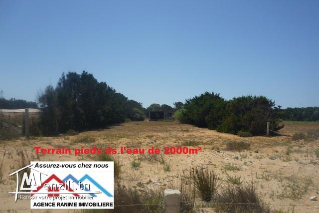 Terrain de 2000m² pieds ds l’eau a la plage d’el haouaria