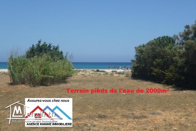 Terrain de 2000m² pieds ds l’eau a la plage d’el haouaria