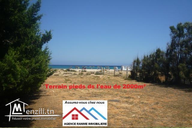Terrain de 2000m² pieds ds l’eau a la plage d’el haouaria